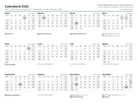 Vista previa: Calendario anual horizontal (carta)