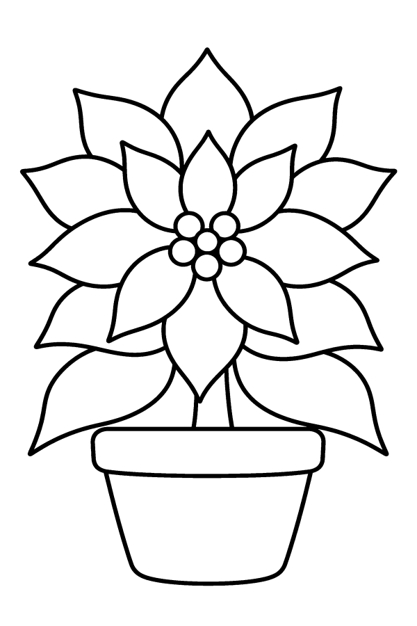 Dibujo de flor de nochebuena para colorear: una flor grande en su maceta de barro