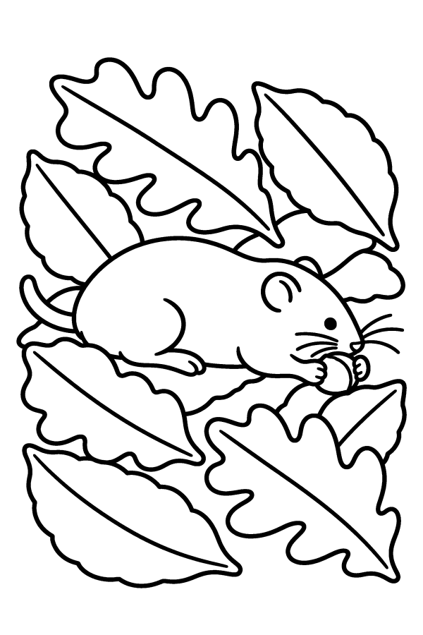 Kleurplaat herfst: een muisje met een hazelnoot tussen de bladeren