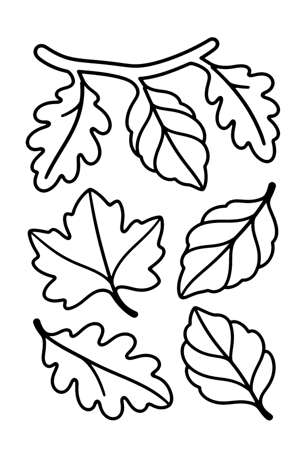 Kleurplaat herfst: herfstbladeren dwarrelen van een tak naar beneden
